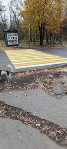 Ямы вместо тротуаров: на улице Бердичевского в Новочеркасске пешеходов ждет опасная зима — фото 10