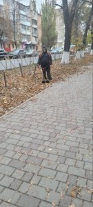 Традиционная почти ноябрьская забава в Новочеркасске - покос листвы