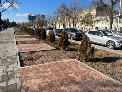 Новочеркасская осень настолько сурова, что в центре города вместе с лиственными деревьями желтеют и...