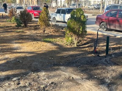 Новочеркасская осень настолько сурова, что в центре города вместе с лиственными деревьями желтеют и... — фото 2