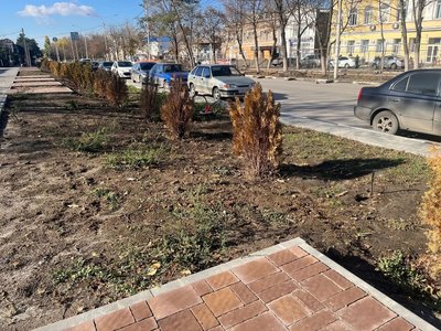 Новочеркасская осень настолько сурова, что в центре города вместе с лиственными деревьями желтеют и... — фото 4