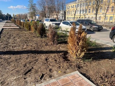 Новочеркасская осень настолько сурова, что в центре города вместе с лиственными деревьями желтеют и... — фото 6