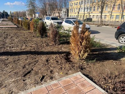 Новочеркасская осень настолько сурова, что в центре города вместе с лиственными деревьями желтеют и... — фото 7