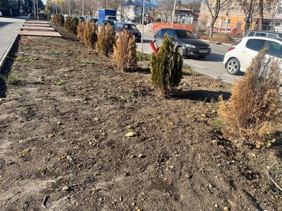 Новочеркасская осень настолько сурова, что в центре города вместе с лиственными деревьями желтеют и... — фото 8