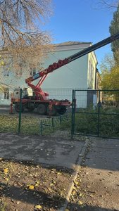 В школе №8 Новочеркасска приведены в порядок зелёные насаждения