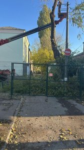 В школе №8 Новочеркасска приведены в порядок зелёные насаждения — фото 3