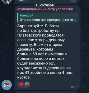 Тишина до визита губернатора: в Новочеркасске разбираются, кто отдал приказ о вырубке деревьев