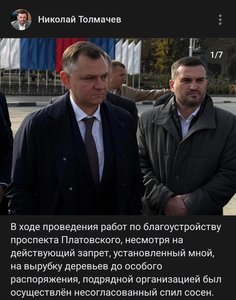 Тишина до визита губернатора: в Новочеркасске разбираются, кто отдал приказ о вырубке деревьев — фото 2