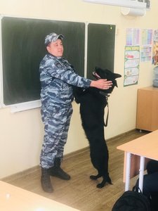 Напарник с хвостом: кинологи МВД провели урок для будущих полицейских в Новочеркасске — фото 3