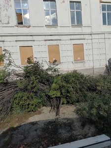 На это больно смотреть