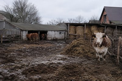 Прокурор Новочеркасска через суд добился устранения нарушений на земельном участке, который...