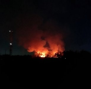 Пожар произошёл во втором корпусе лаборатории СКЗНИВИ в Новочеркасске, который в настоящее время не... — фото 2