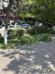 В Новочеркасске депутат Гордумы проинспектировал дороги и зеленые зоны 8-го округа — фото 2