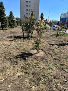 На публикацию о состоянии сквера имени братьев Воробьевых откликнулись коллективы новочеркасских... — фото 2
