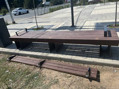 Высаженный сквер гибнет из-за бесхозяйственности — фото 8