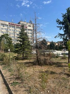 Высаженный сквер гибнет из-за бесхозяйственности — фото 9
