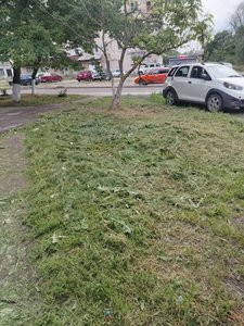 Вчера вечером написали о проблеме с покосом на Степной