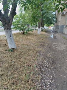 Вчера вечером написали о проблеме с покосом на Степной — фото 3