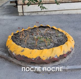 Тема, которая заставляет задуматься — фото 2