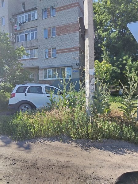 Наши подписчики со Степной 30/76 просят напомнить администрации о покосе травы — фото 1