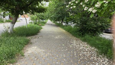 В центре Новочеркасска забыли о благоустройстве целого переулка