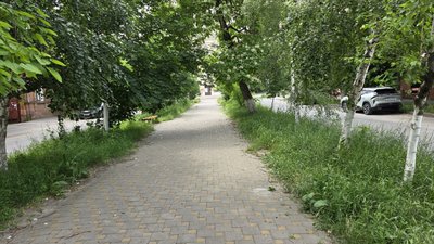 В центре Новочеркасска забыли о благоустройстве целого переулка — фото 2