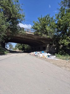 Экологическая катастрофа в центре города: свалка под мостом спуска Герцена — фото 5