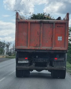 Откуда на улицах берётся мусор? Наши подписчики прислали видео с подсказкой