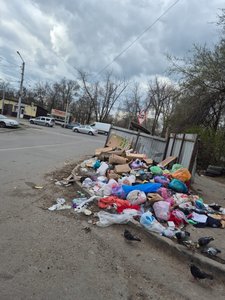 Сегодня поступила информация, что жители дома Первомайская, 164 обратились к своему депутату с...
