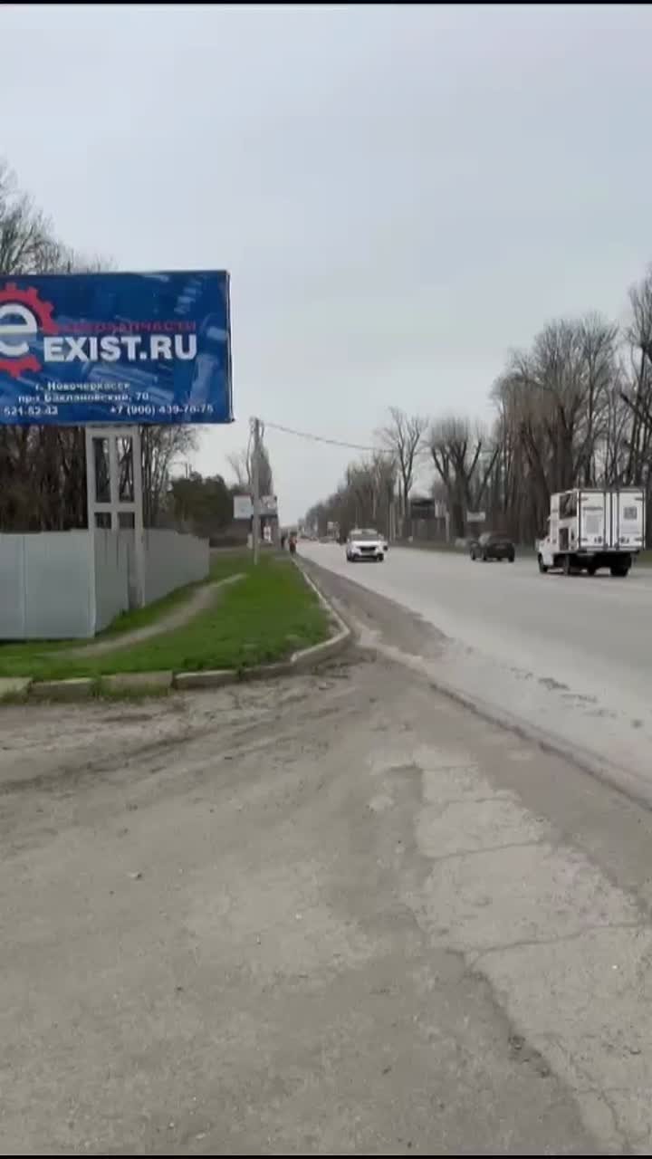 Мыши плакали, кололись, но продолжали грызть кактус