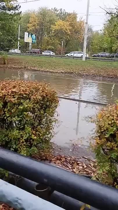 MOV_20251027_111504_062.mp4