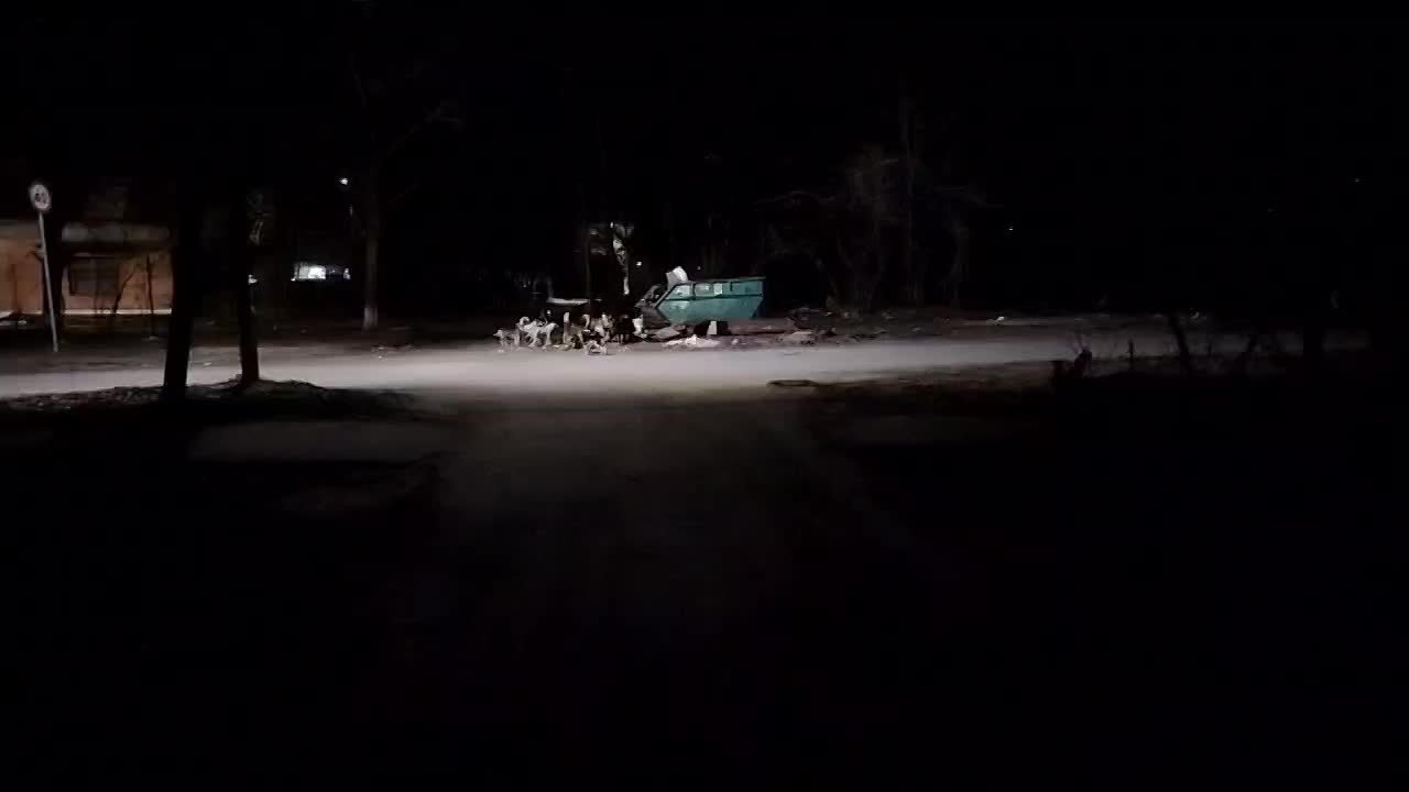 Новочеркасск