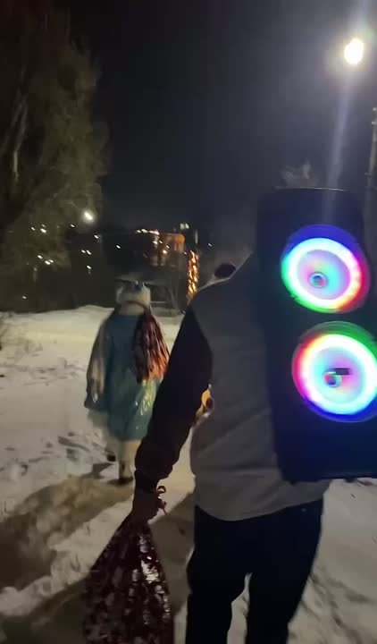 В новогоднюю ночь активисты из Новочеркасска создали волшебную атмосферу: одевшись в костюмы Деда...