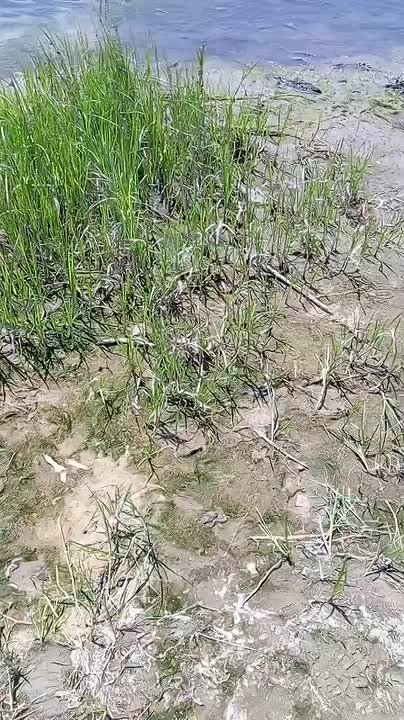 MOV_20260612_124327_426.mp4